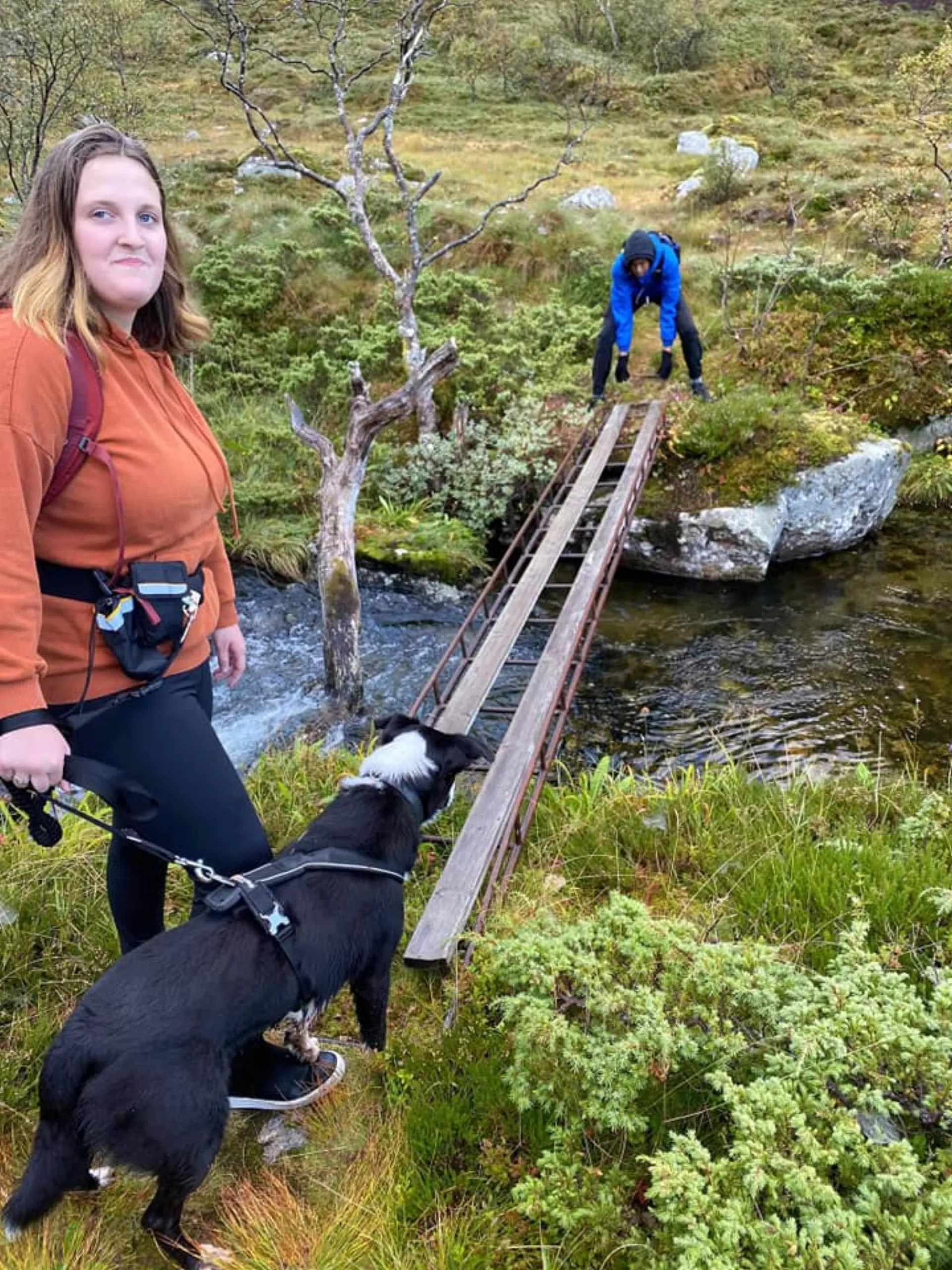 Samarbeid mellom elevar