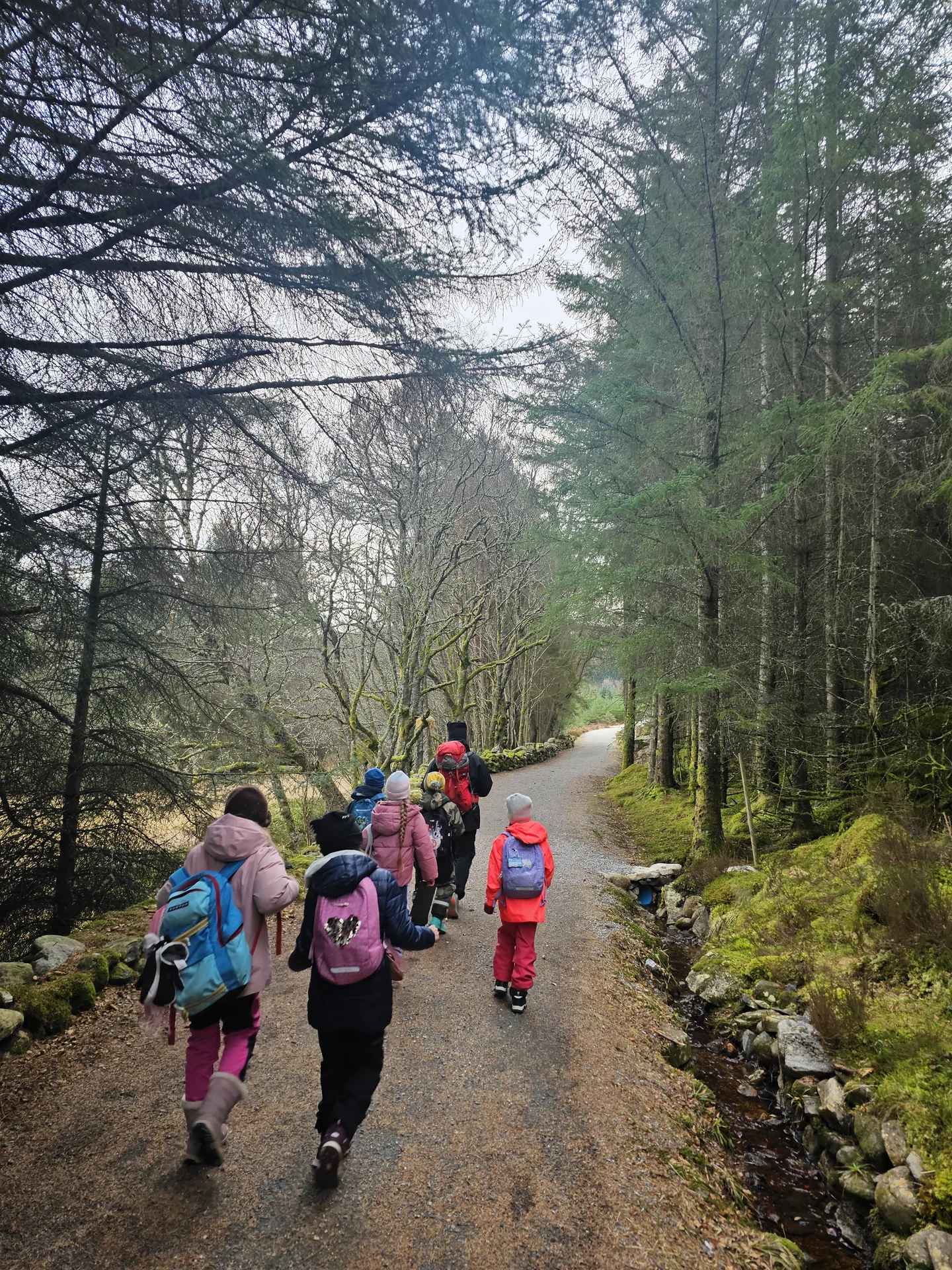 Tur i skogen ein vinterdag